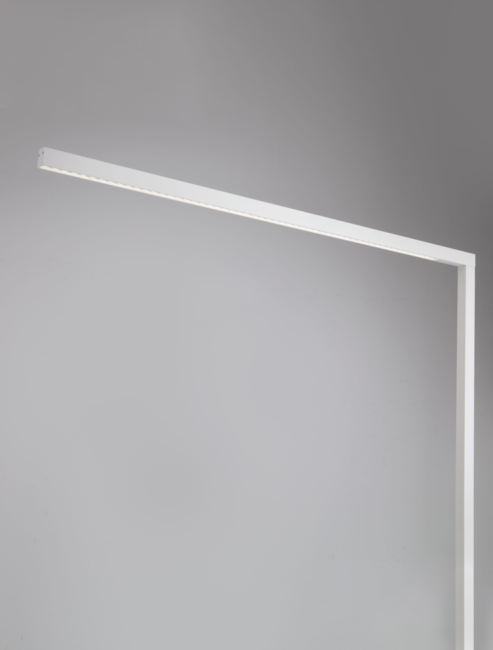Reader W40-51W [10]