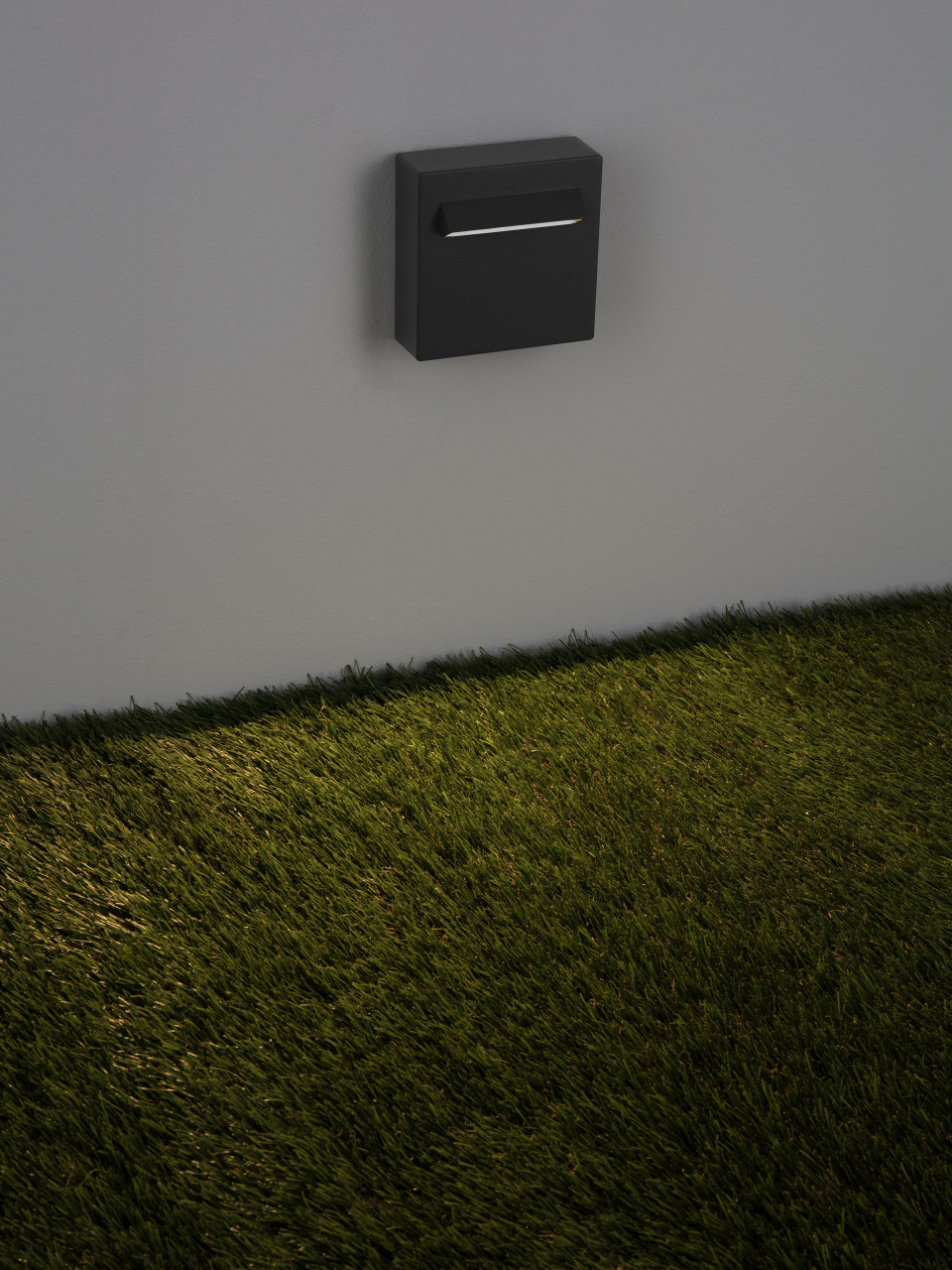 RECTO [5]