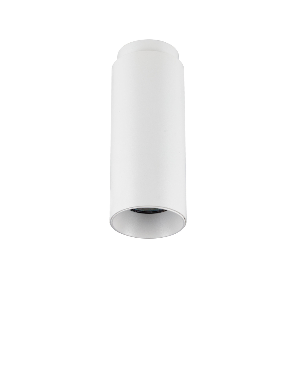 Robin W-SM-D6.5 [2]