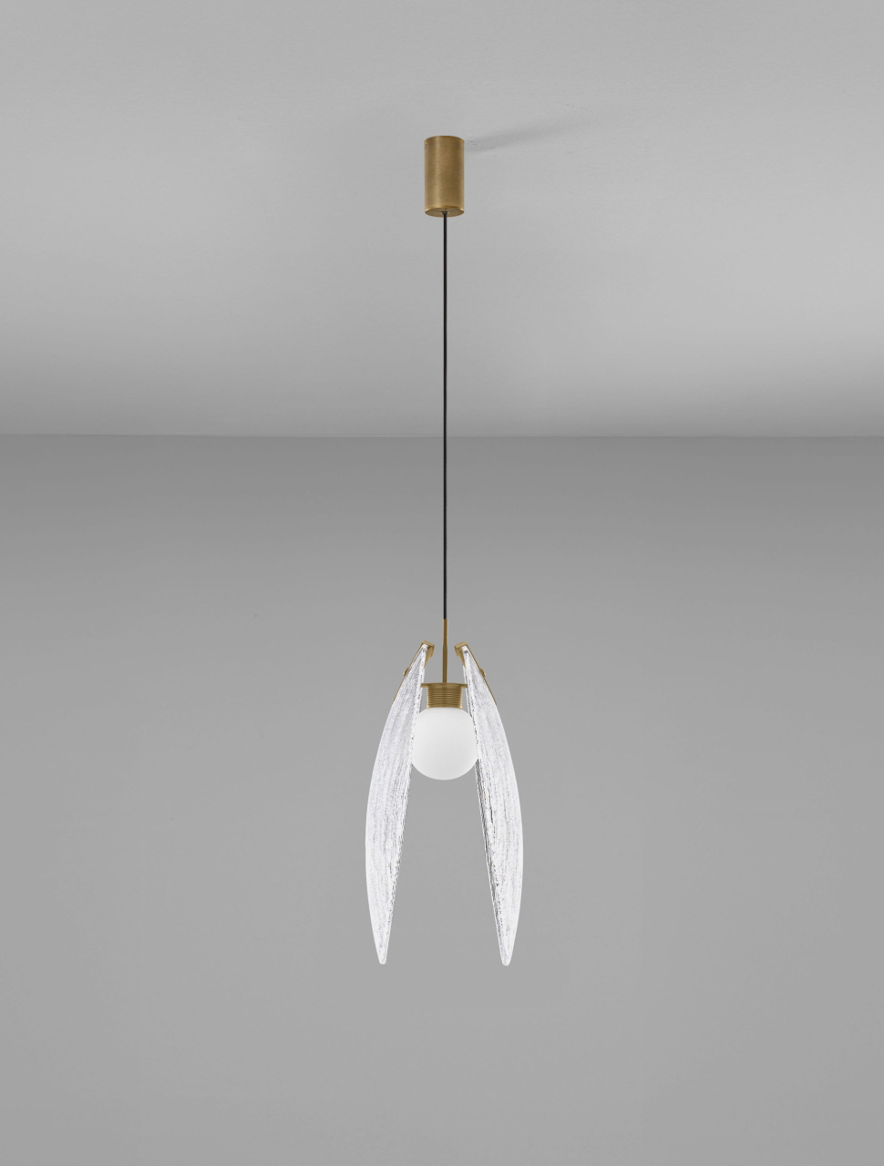 SHELINA [7]
