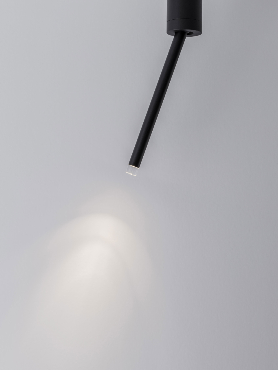 STILVI [6]