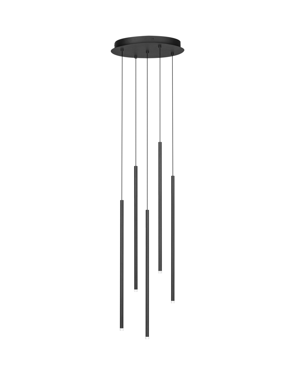 STILVI [2]