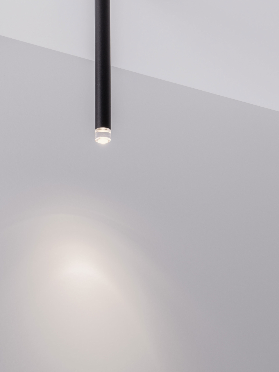 STILVI [2]