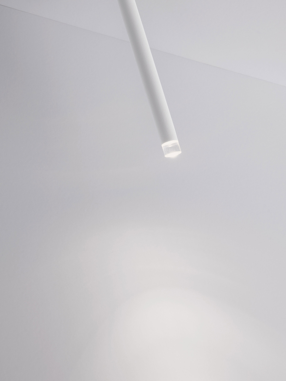 STILVI [3]