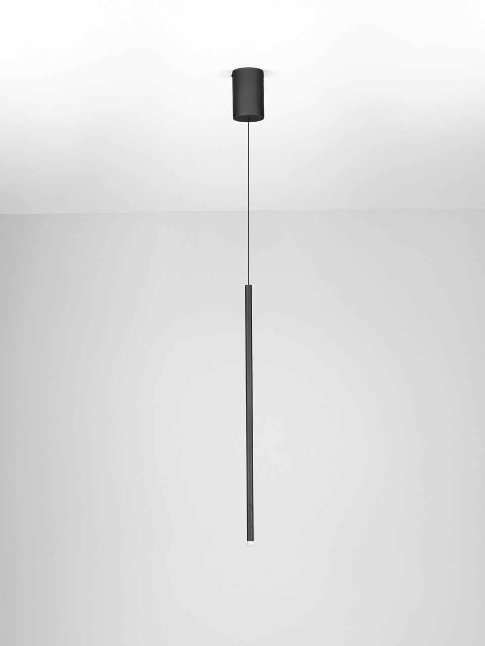 STILVI [3]
