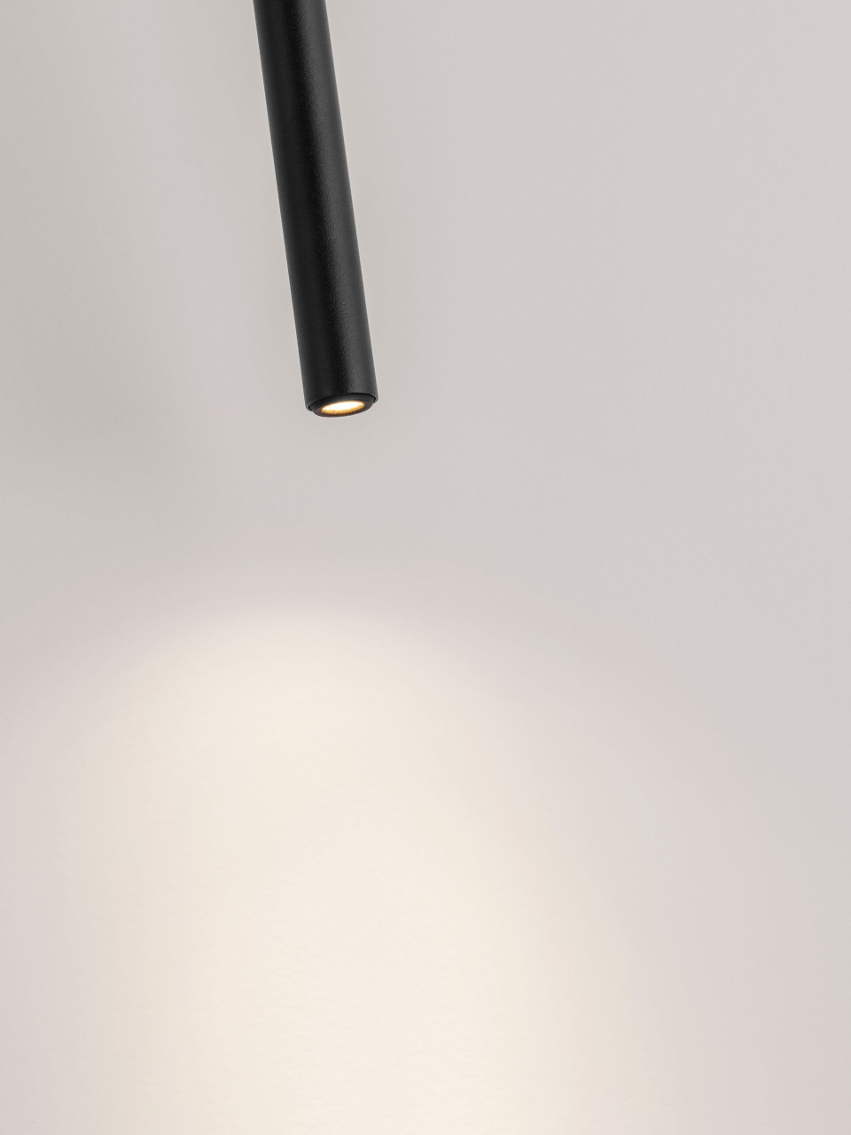 STILVI [3]