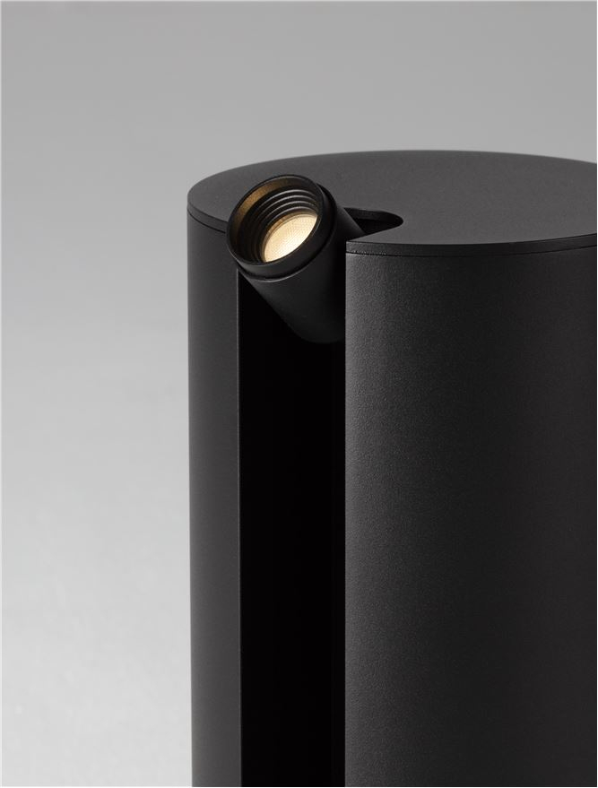 TAGLIO stalp exterior mic [6]