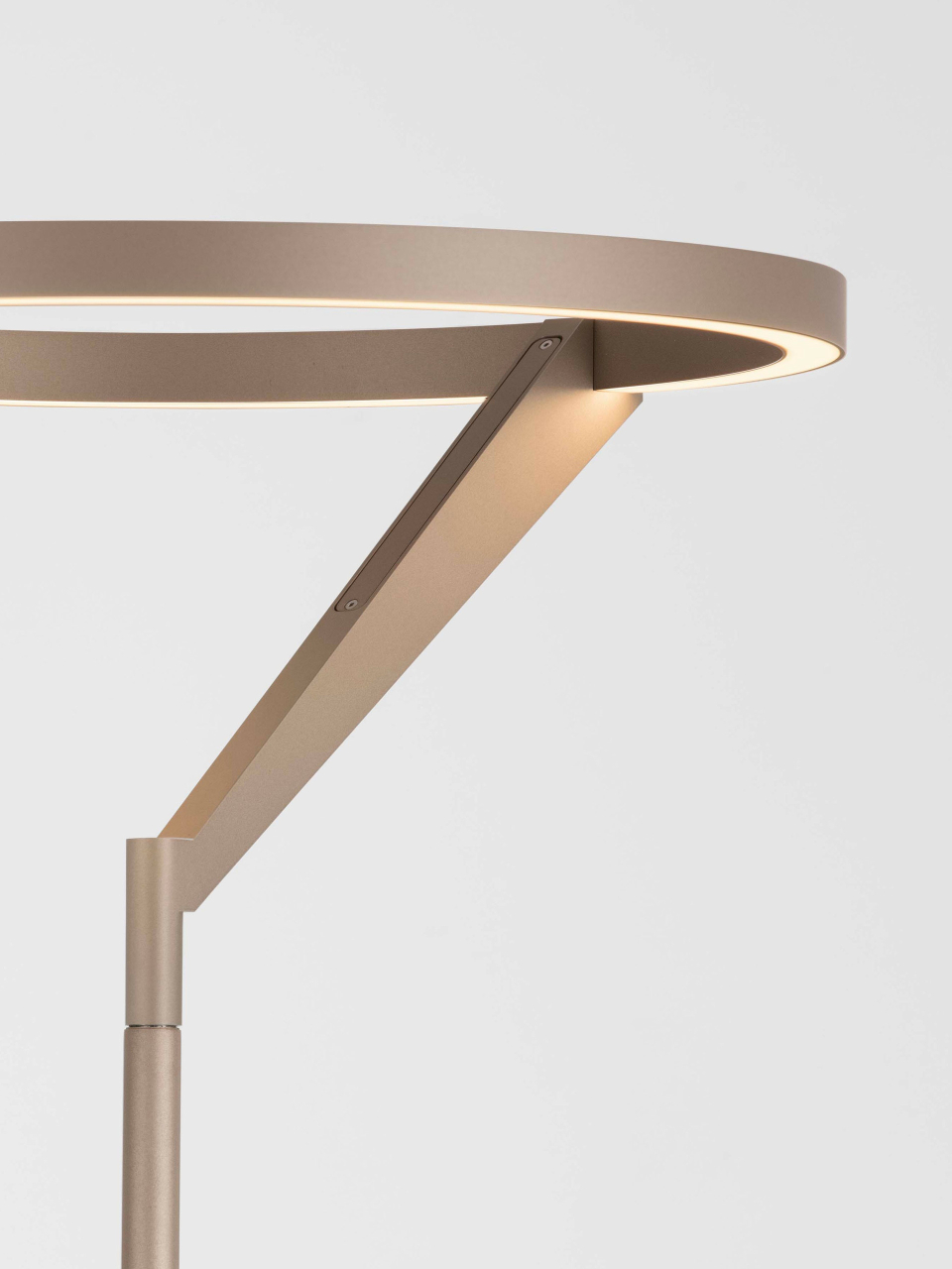 TILIA [6]