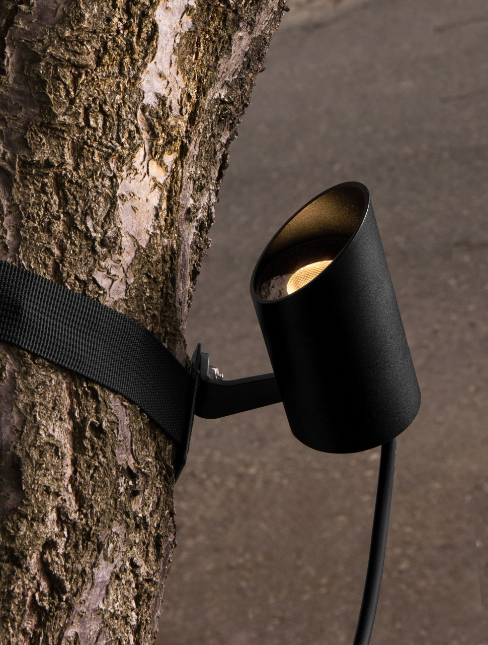 Tree B30-8W [5]