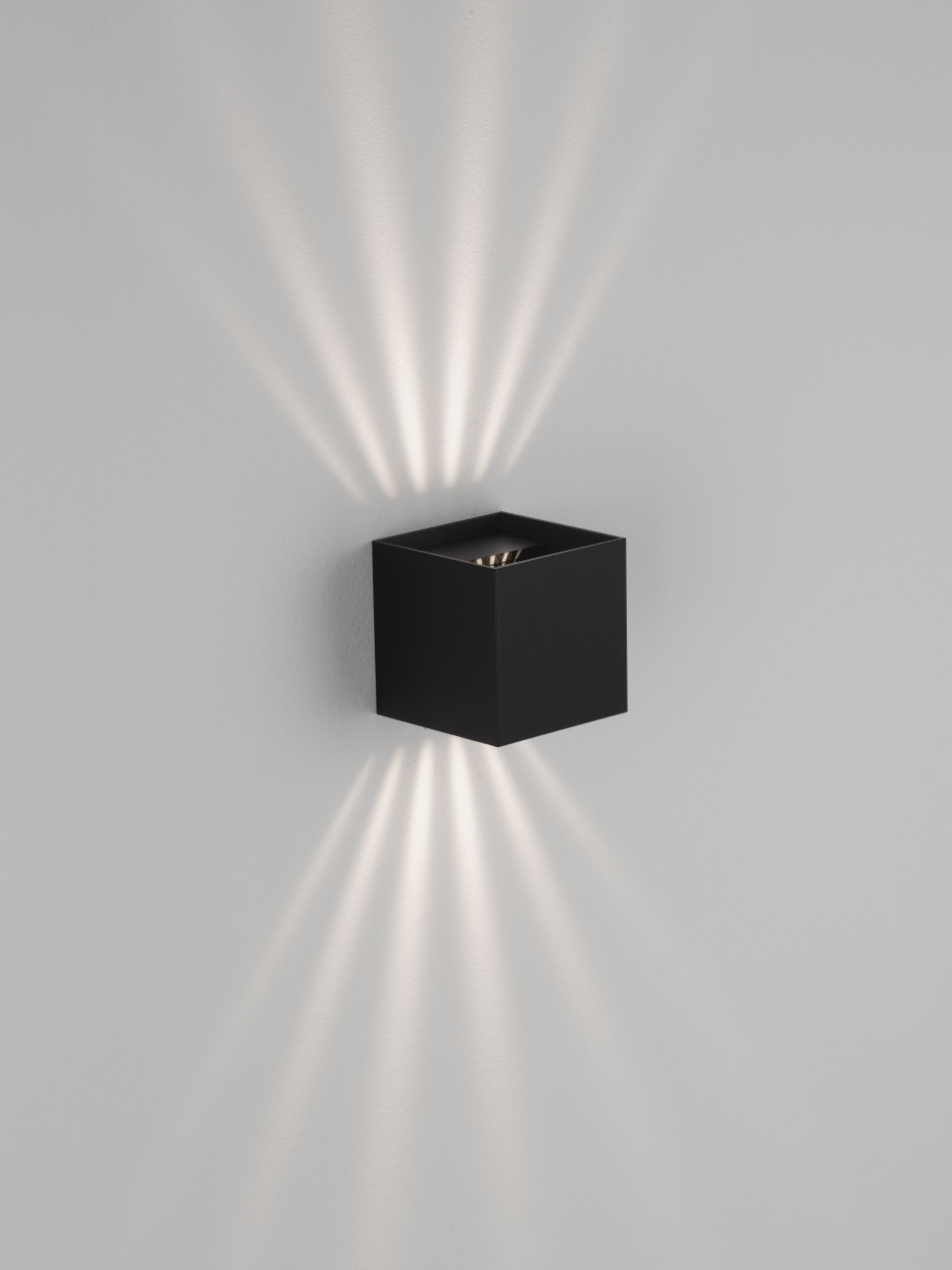 VECTOR [14]