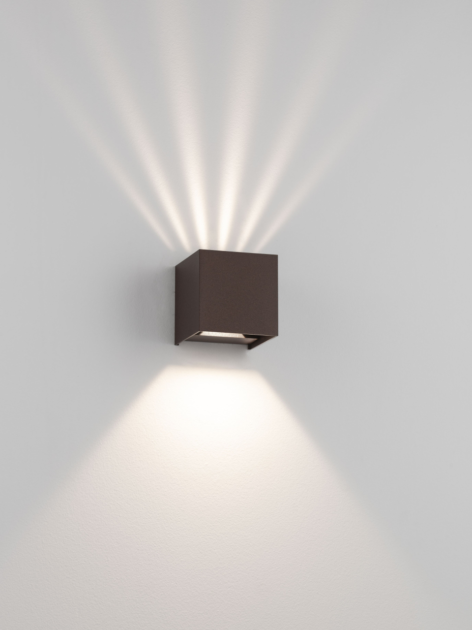 VECTOR [14]