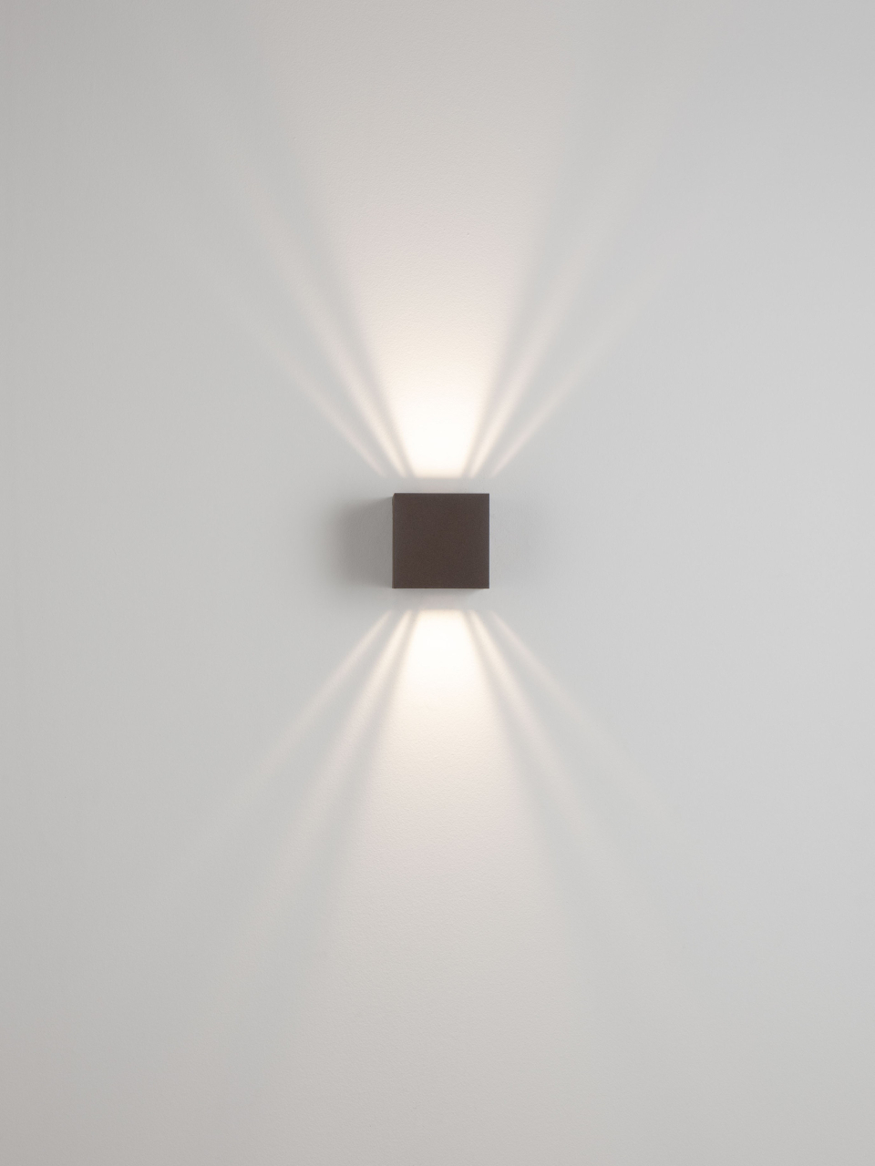 VECTOR [12]