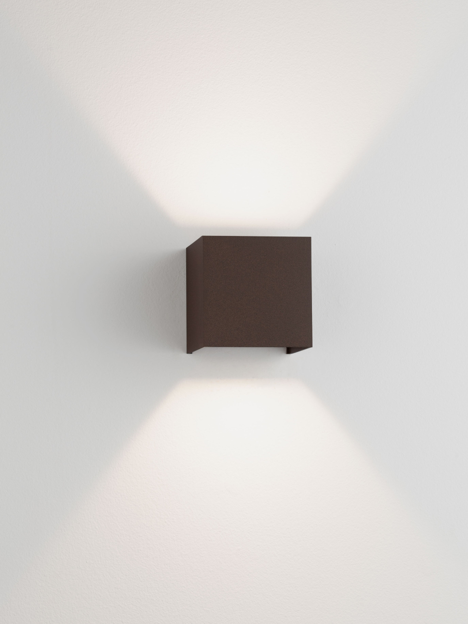 VECTOR [11]