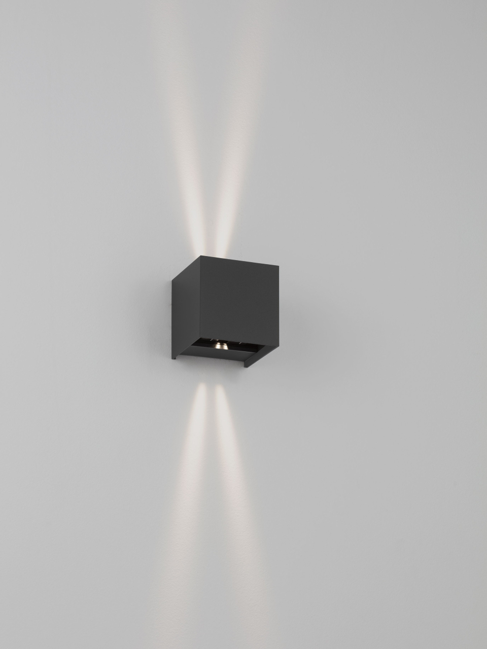 VECTOR [15]