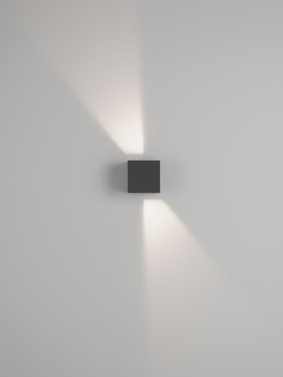 VECTOR [13]