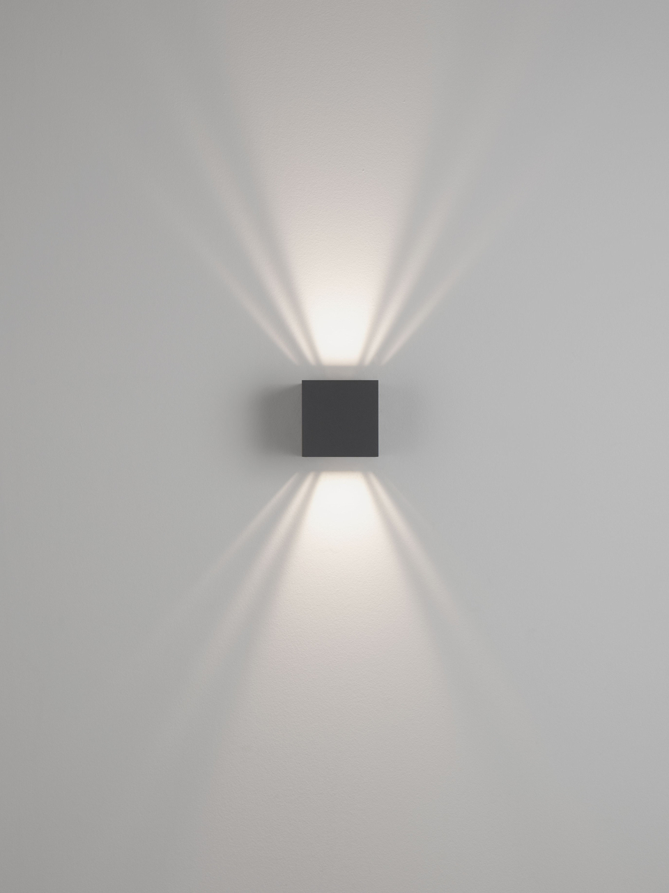 VECTOR [11]