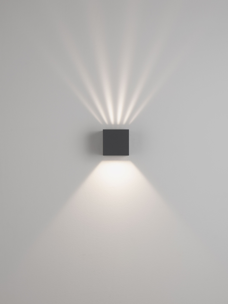 VECTOR [12]