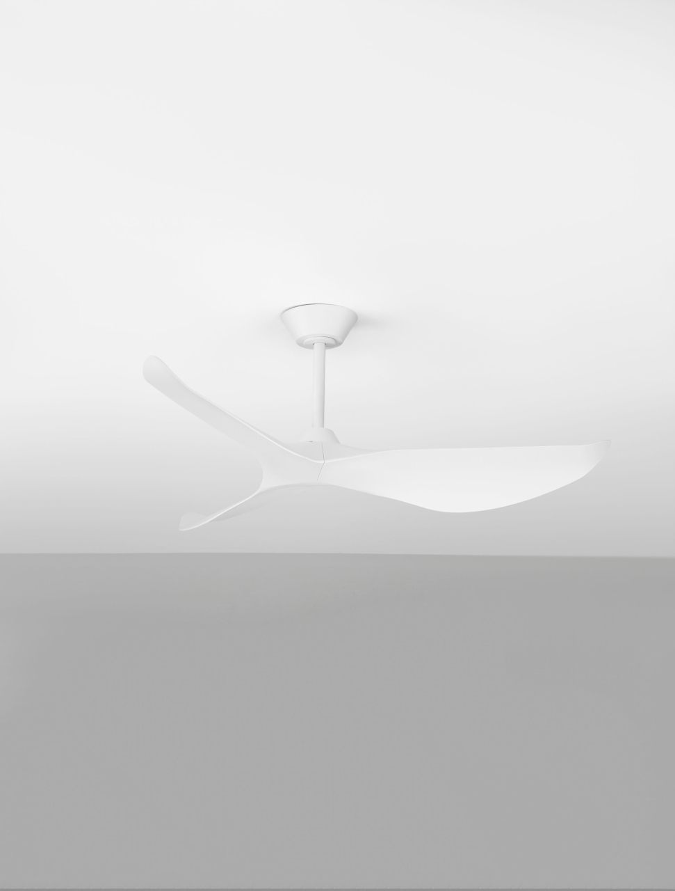 VENTRA [3]