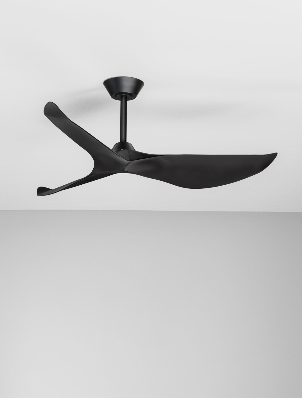 VENTRA [3]