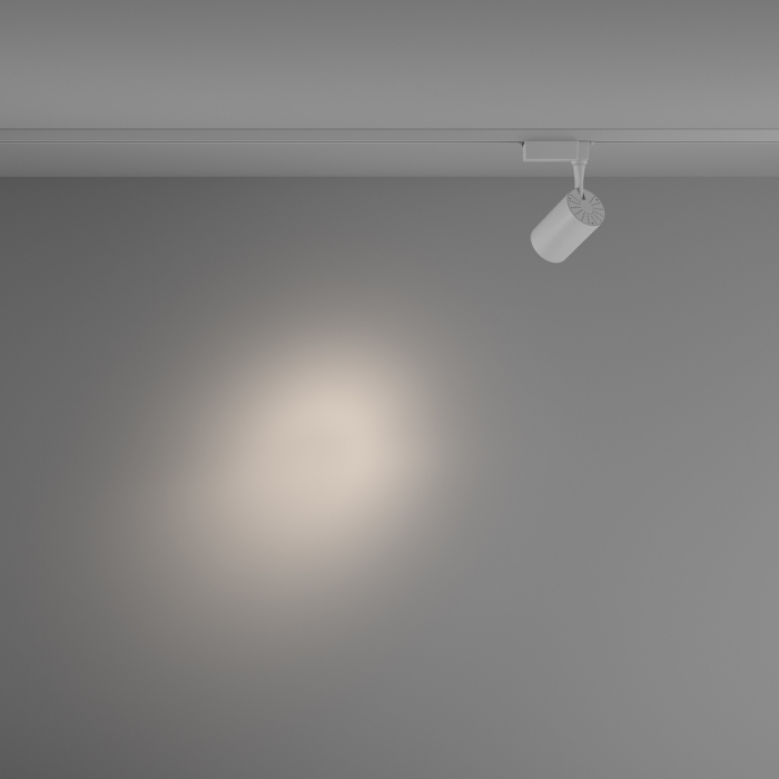 Vuoro 10W -Track Lighting TR003-1-10W4K-S-W - spot UNITY [3]