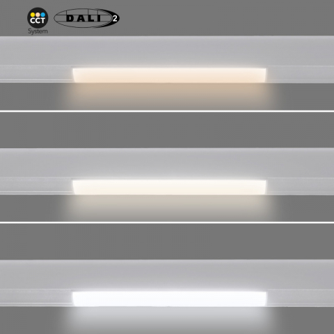 Sisteme de sine - 12W - DALI-2 dimmable CCT - white - Magnetic track LED OPAL MAGNETIC - 48V