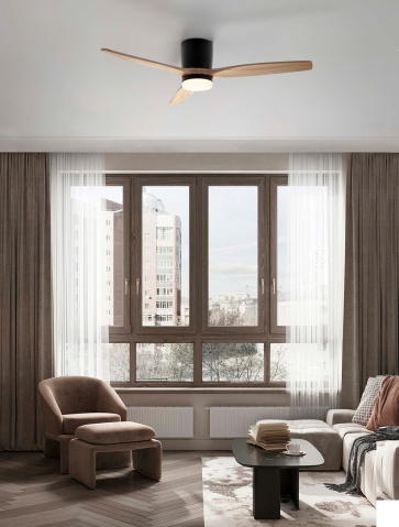 Decorative - ALOA