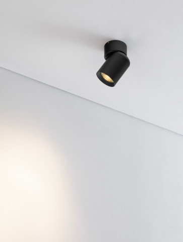 Spotlights - AMECY