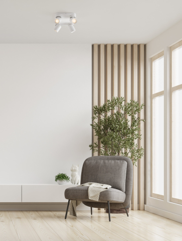 Spotlights - AMECY