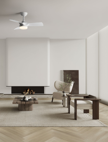 Decorative - CAELIA