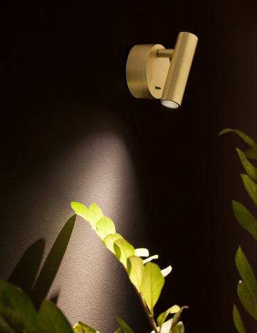 Decorative - CLIP