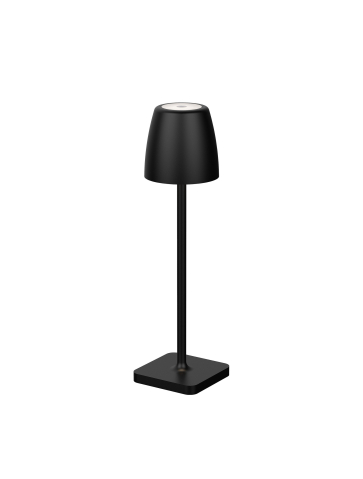 Veioza/Lampadar (portabile) - COLT