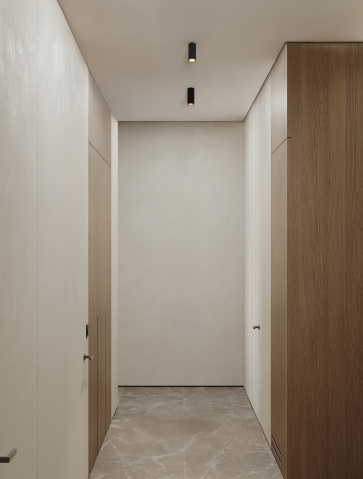 Ceiling - Comet B-SM-D4