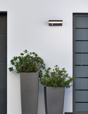 Exterior - DYN