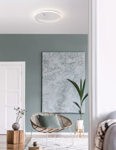 Decorative - FULINE