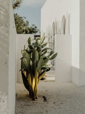 Exterior - GES