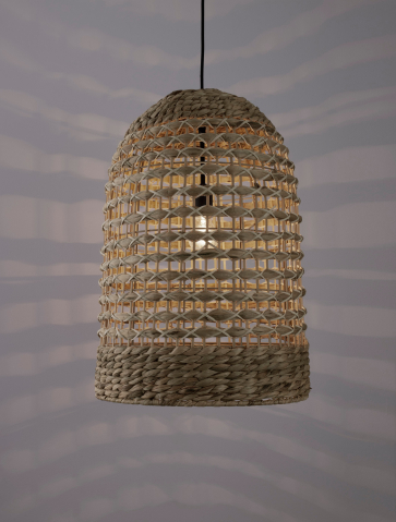 Decorative - GRIFFIN