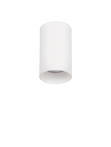 Ceiling - Loyd W-13W-SM-D6-H11.5