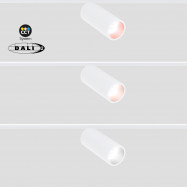 Magnetic track LED spotlight - 48V - 10W - DALI-2 dimmable CCT - White [1]