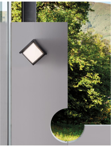 Aplice exterior - MAX aplica exterioara LED 9026001