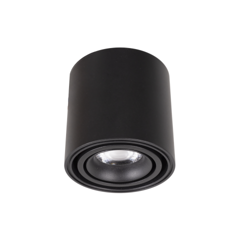 Arhitectural - Maxlight C0257 Fix - spot aplicat
