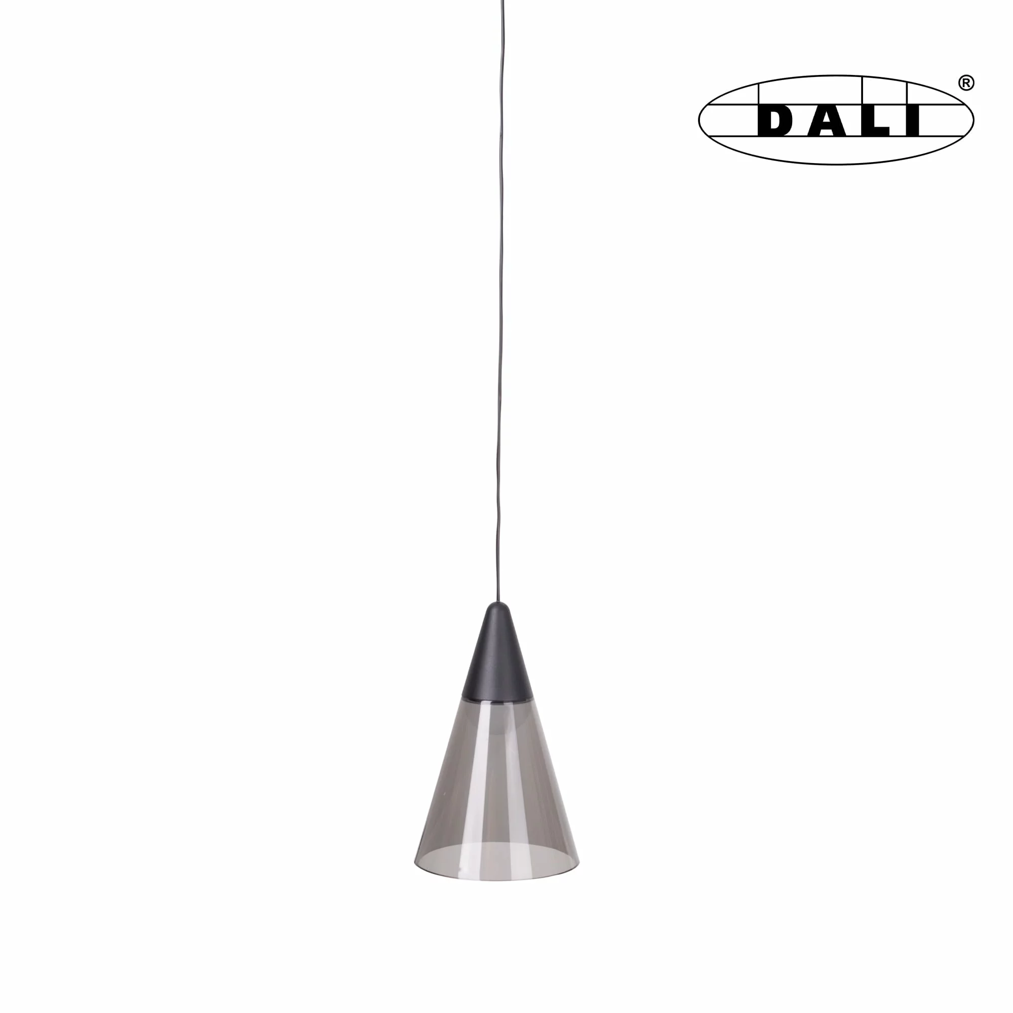 Sine magnetice Max Light - Maxlight M0015D Magnetic Pendant Shade Dali 6W 363LM 3000K