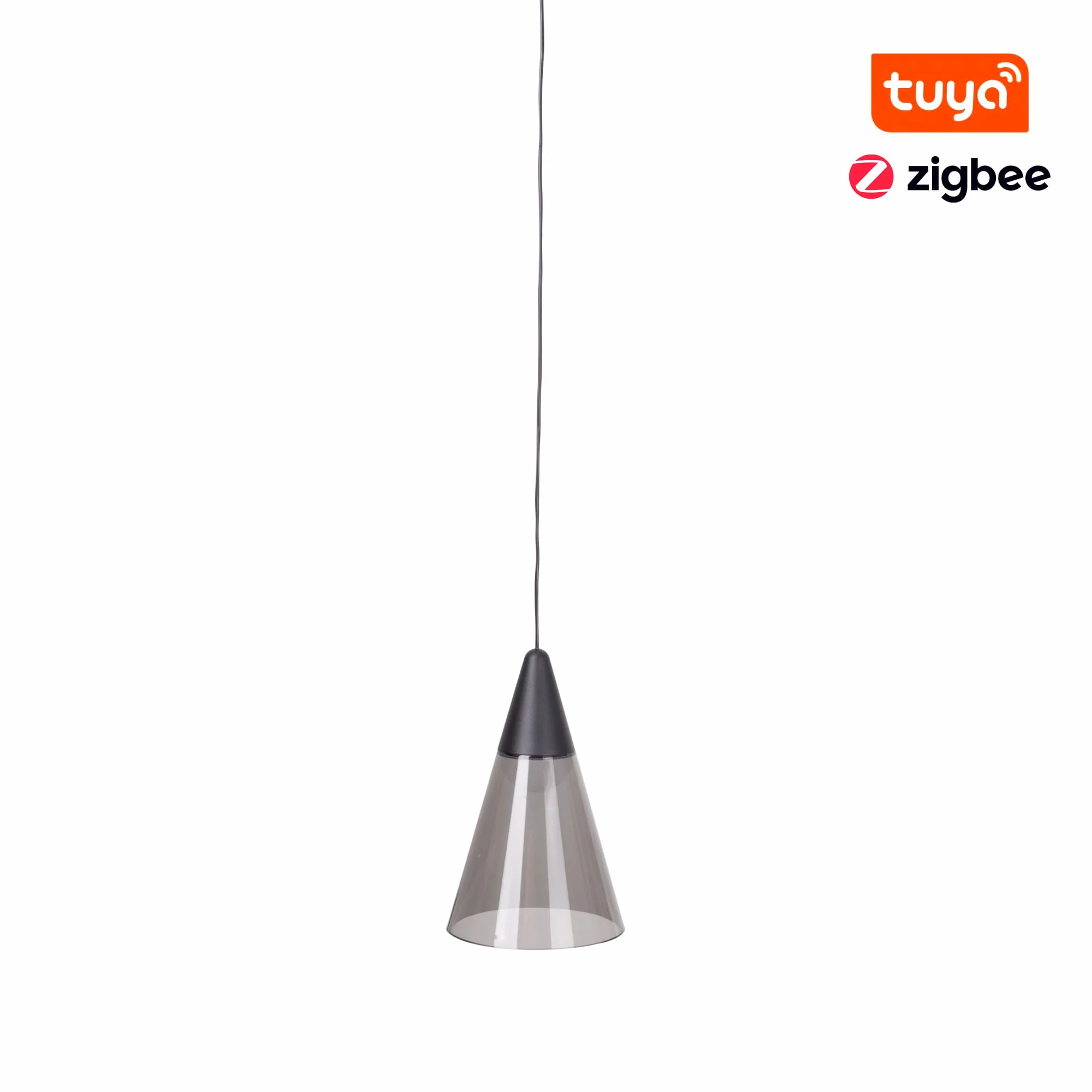 Sine magnetice Max Light - Maxlight M0015Z Magnetic Pendant Shade Zigbee ZIGBEE 6W 363LM 2700/5000K