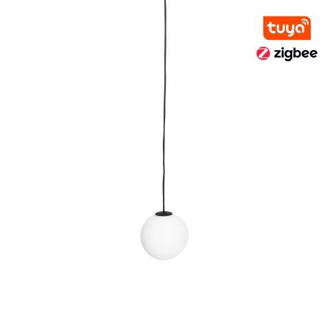 MAGNETIC TRACK 20MM - Maxlight M0017Z Magnetic Pendant Globe Zigbee