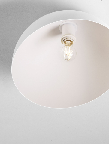 Decorative - ONIA
