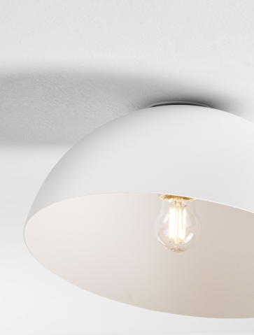 Decorative - ONIA
