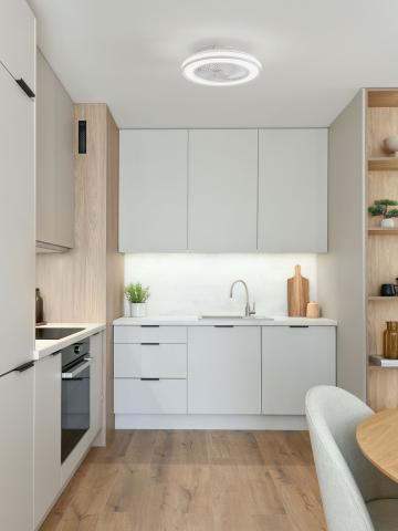 Decorative - ORYA