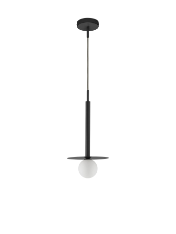 Decorative - PIELO