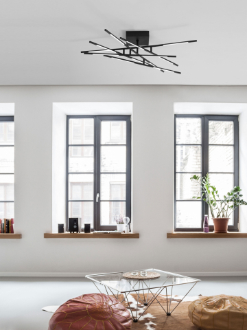 Decorative - RACCIO