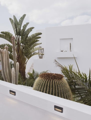 Exterior - RIO