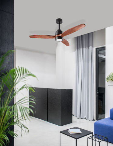 Decorative - SABAL
